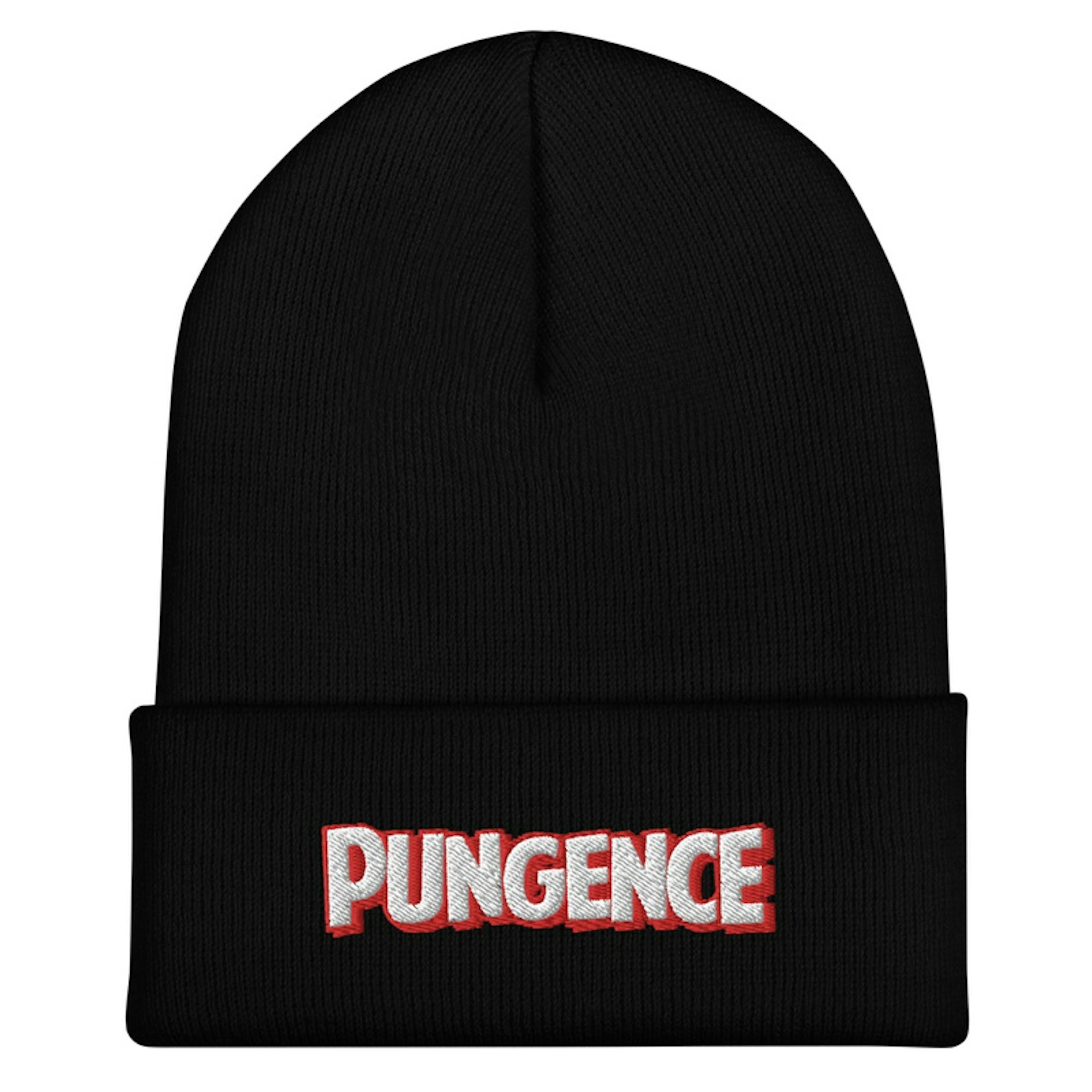 Pungence Embroidered Beanie!
